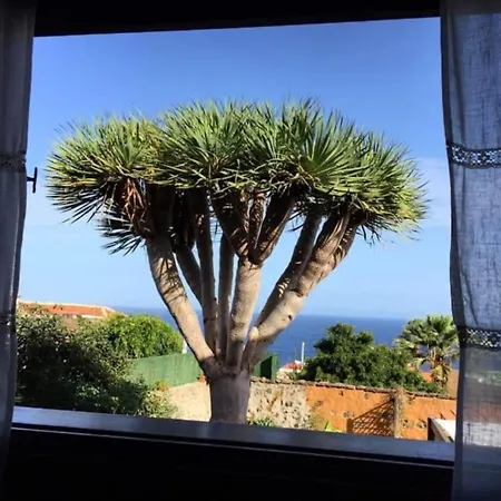 La Casona De La Rambla - Private Garden + Jacuzzi Tatil Evi